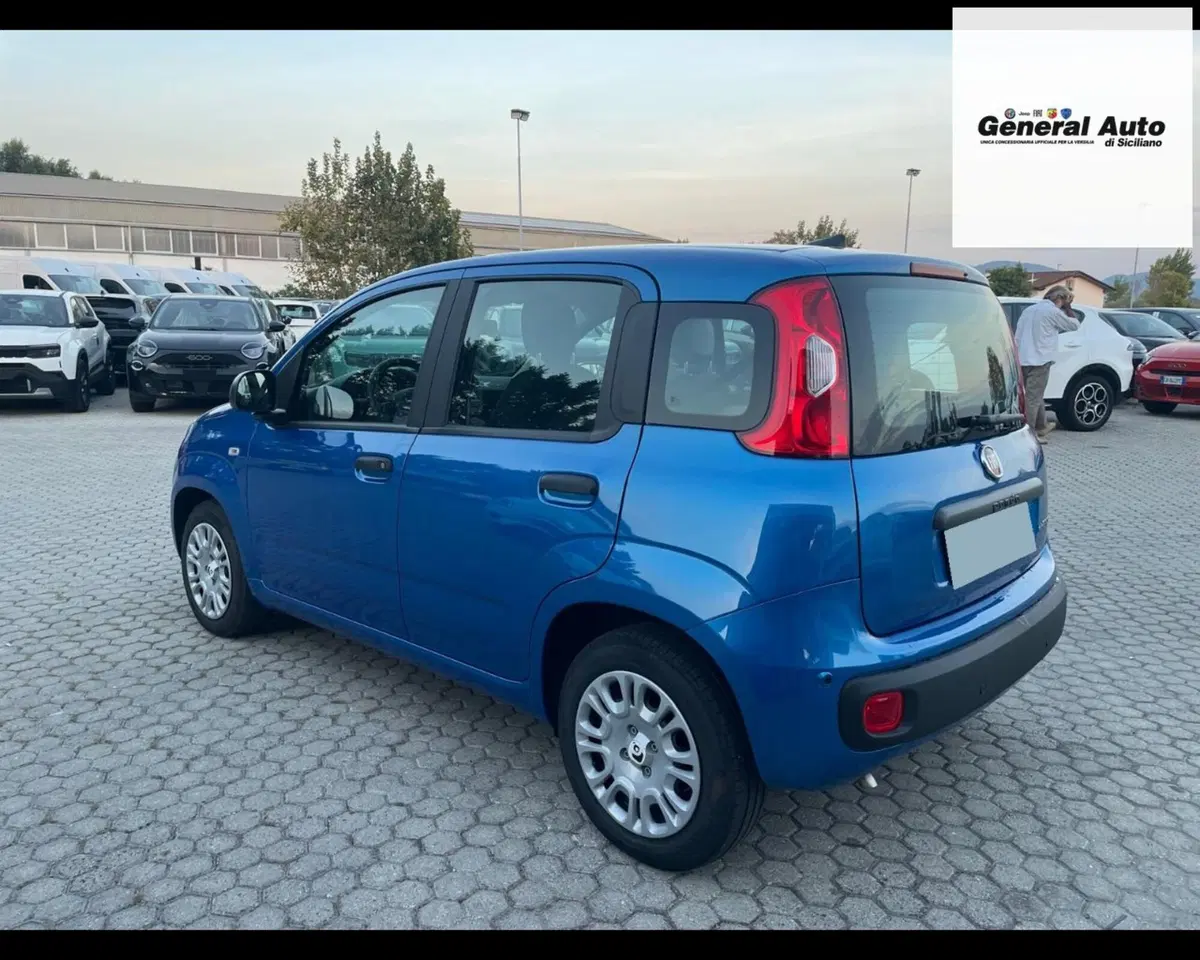 Fiat Pandina usata a Lucca (5)