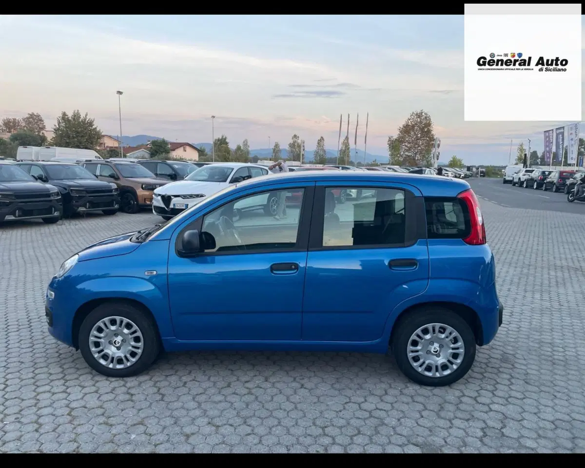 Fiat Pandina usata a Lucca (6)