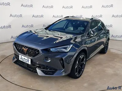 Cupra Formentor Formentor 2.0 tdi 4drive 150cv dsg del 2022 usata a Tito