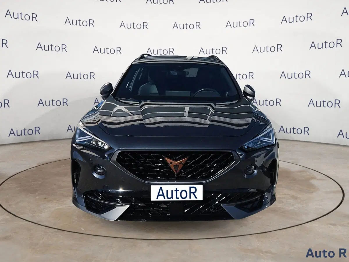 Cupra Formentor usata a Potenza (2)