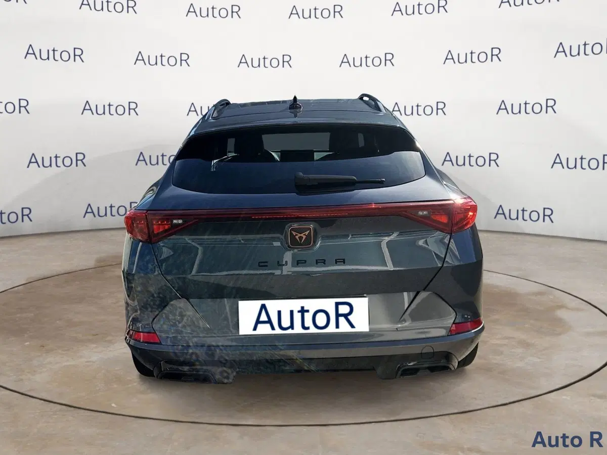 Cupra Formentor usata a Potenza (6)