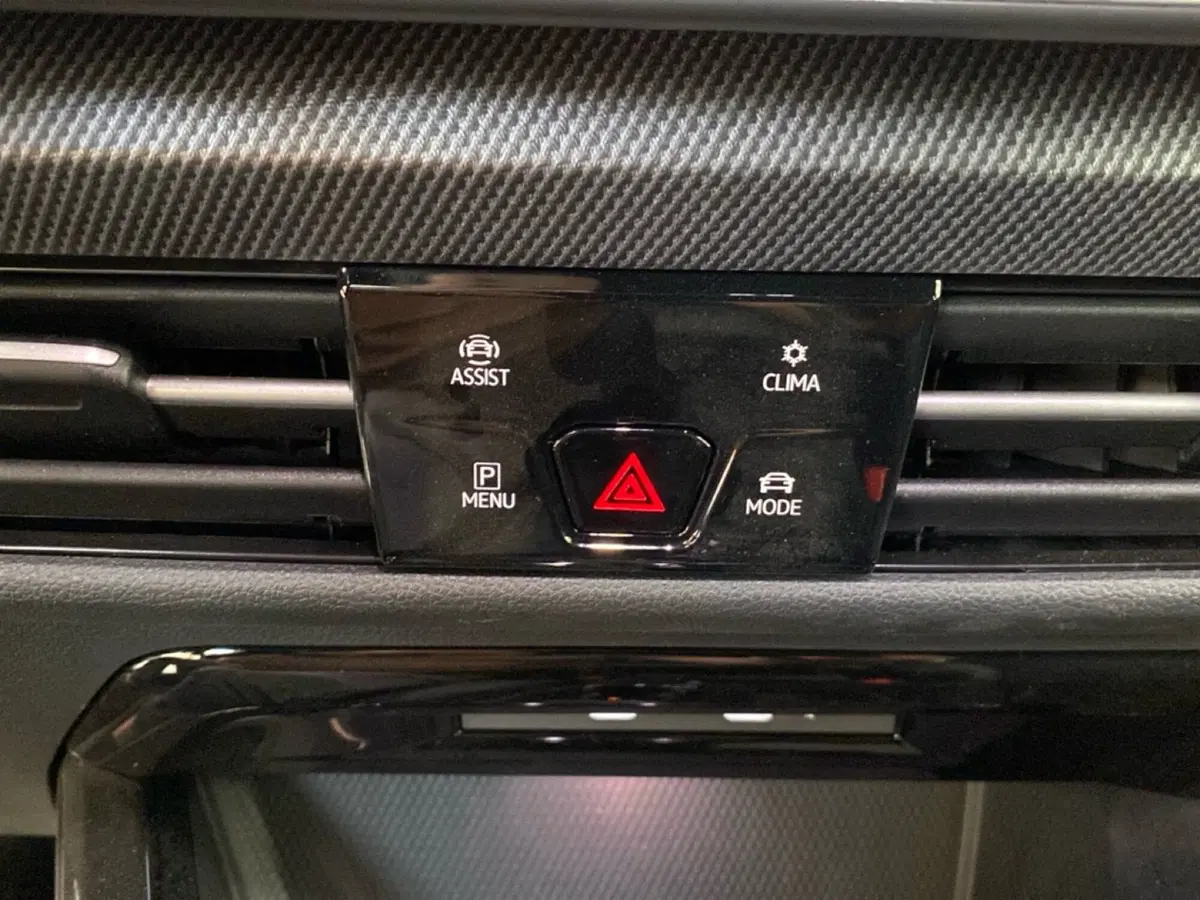 Volkswagen Golf usata a Lodi (12)
