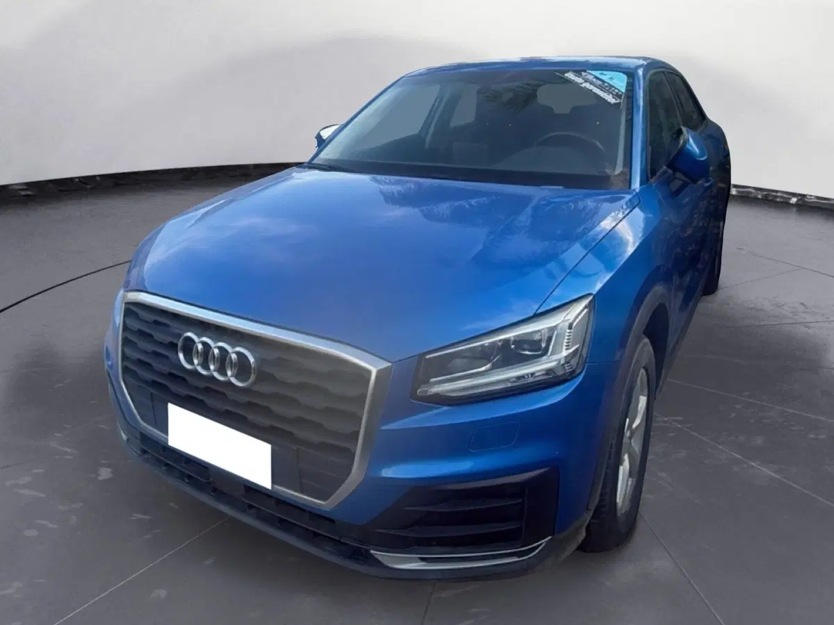 Audi Q2 usata a Palermo (10)