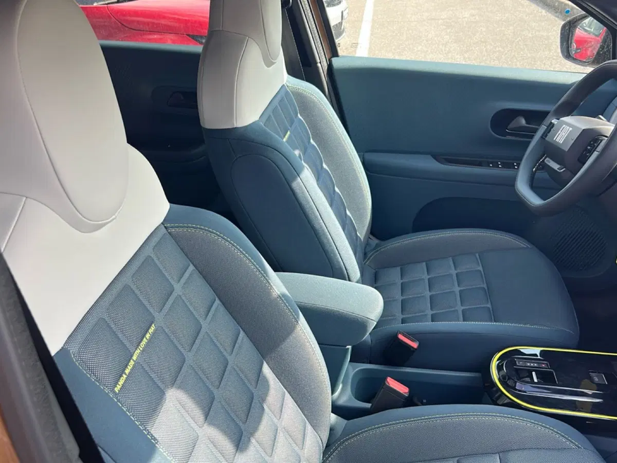 Fiat Grande Panda usata a Bergamo (15)