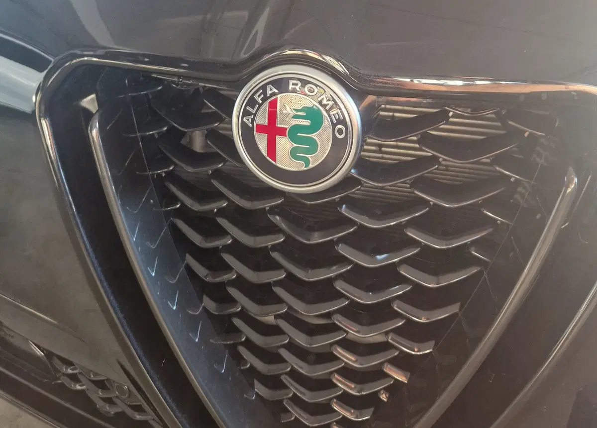 Alfa Romeo Stelvio usata a Terni (20)
