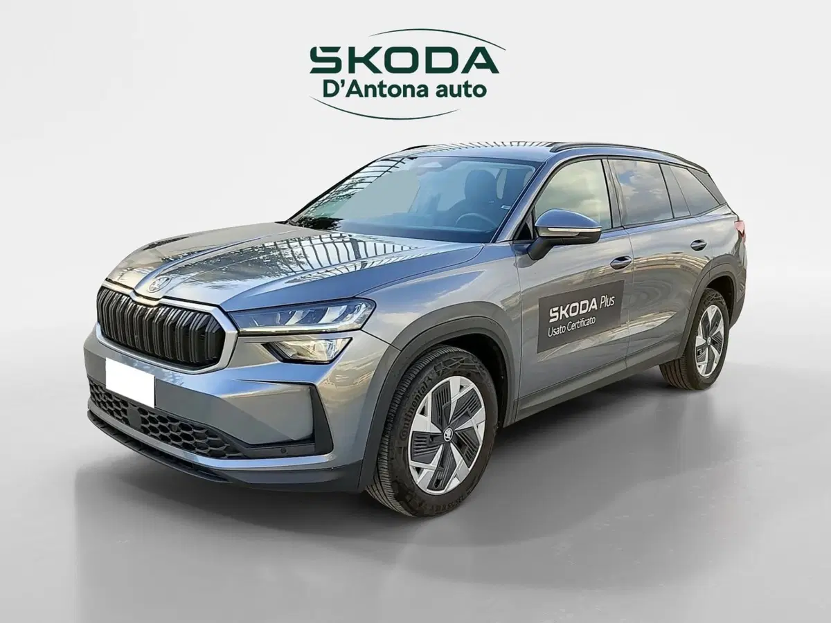 Skoda Kodiaq usata a Taranto (4)