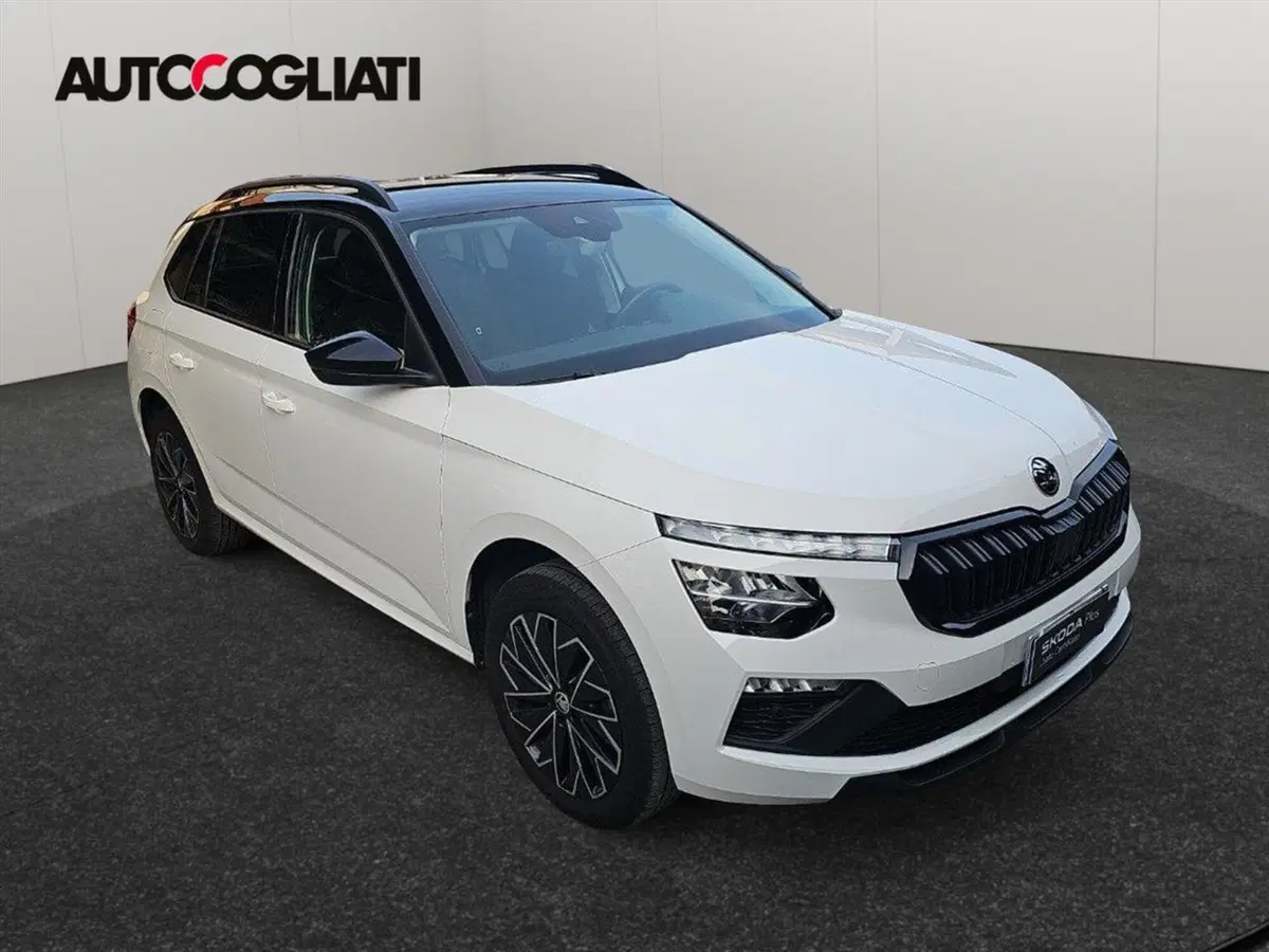 Skoda Kamiq usata a Lecco (3)