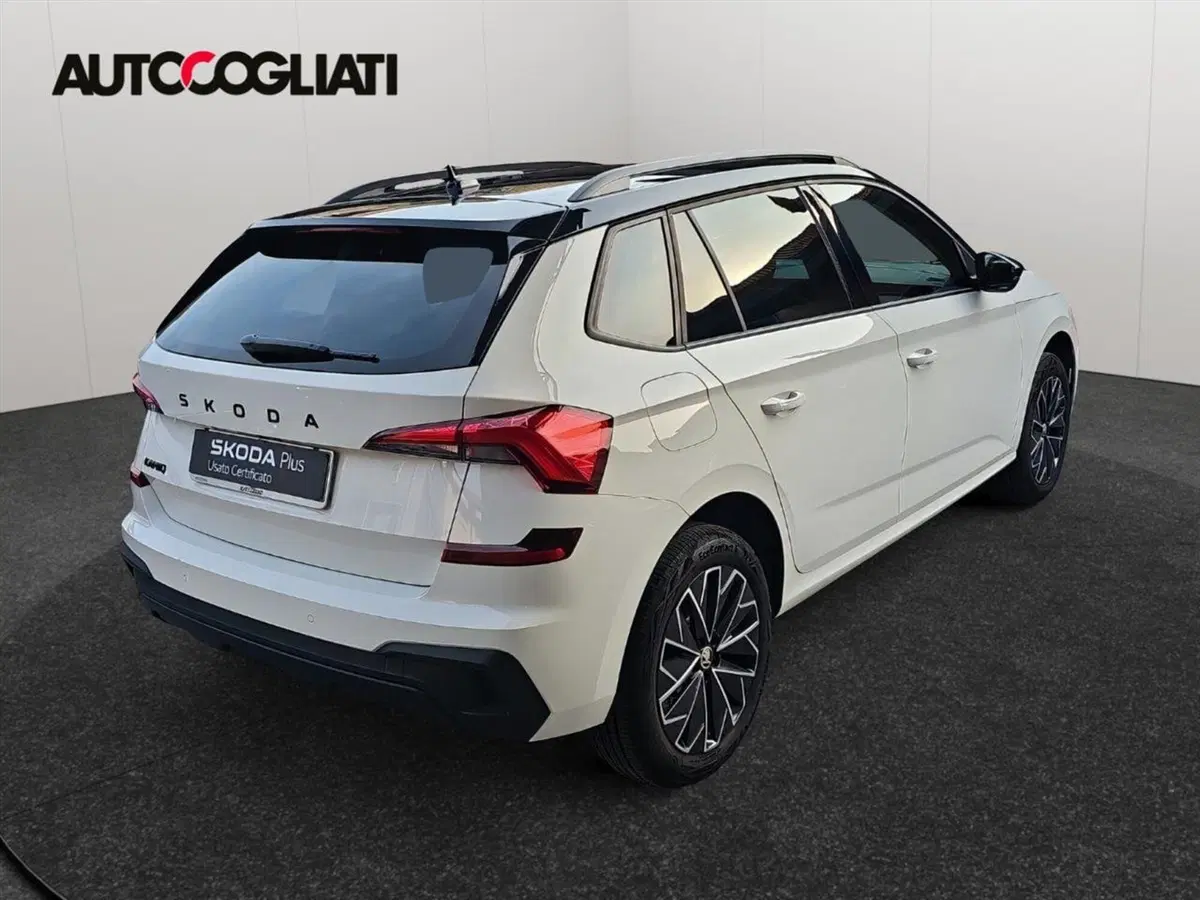 Skoda Kamiq usata a Lecco (8)