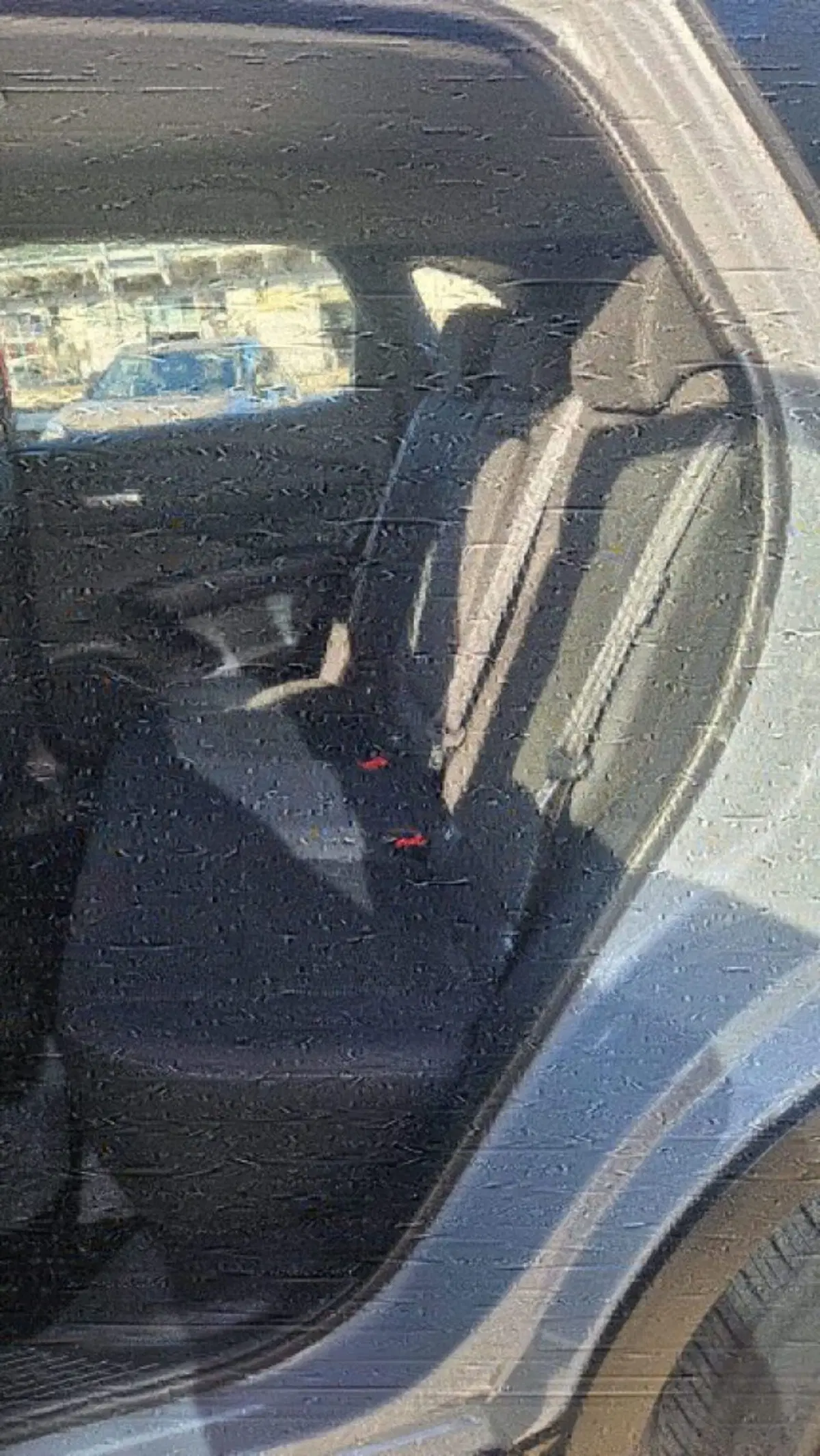 Nissan Qashqai usata a Lucca (18)