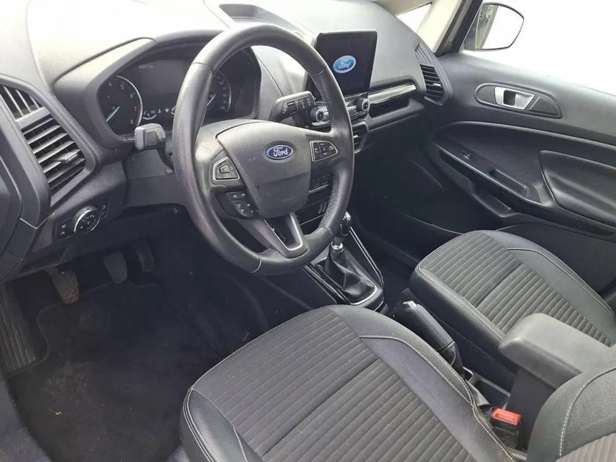 Ford EcoSport usata a Torino (10)