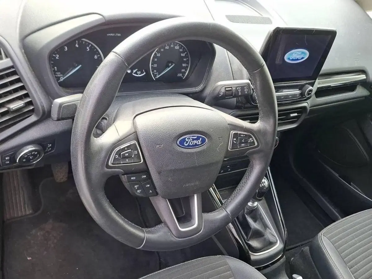 Ford EcoSport usata a Torino (11)