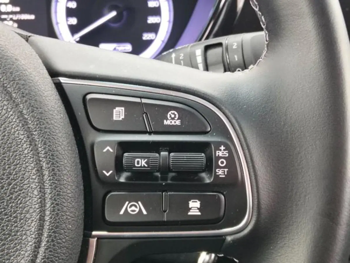 Kia Niro usata a Como (11)