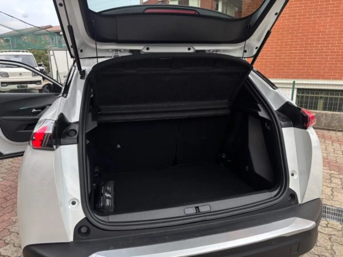 Peugeot 2008 usata a Cuneo (20)