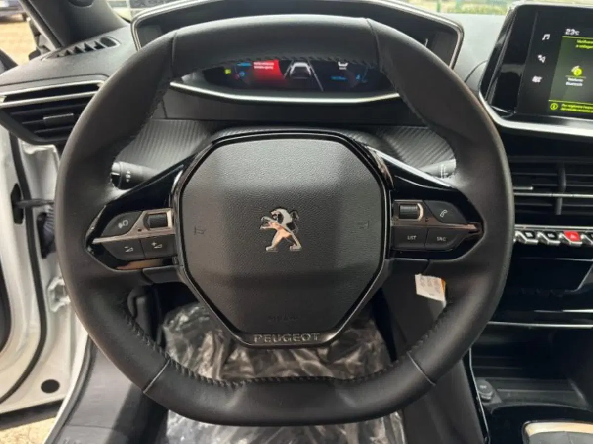 Peugeot 2008 usata a Cuneo (8)