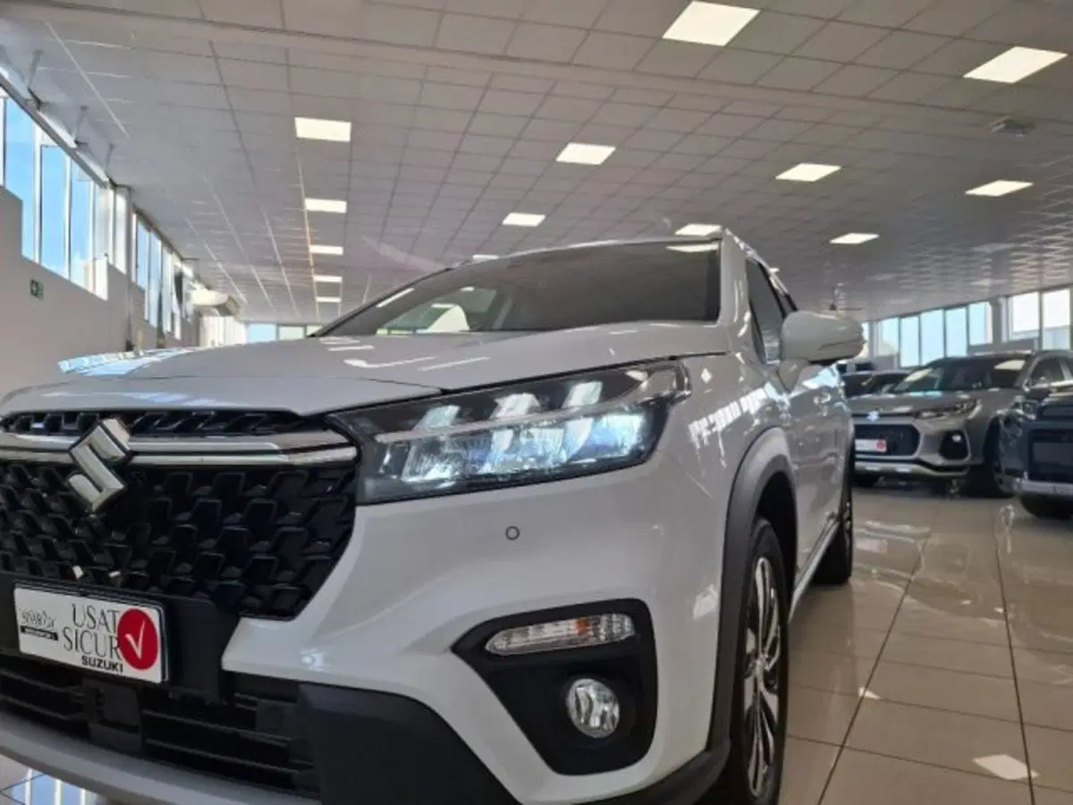 Suzuki S-Cross usata a Reggio Emilia (18)