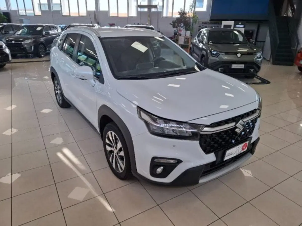 Suzuki S-Cross usata a Reggio Emilia (7)
