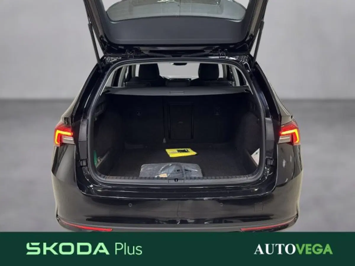 Skoda Octavia Station Wagon usata a Vicenza (17)