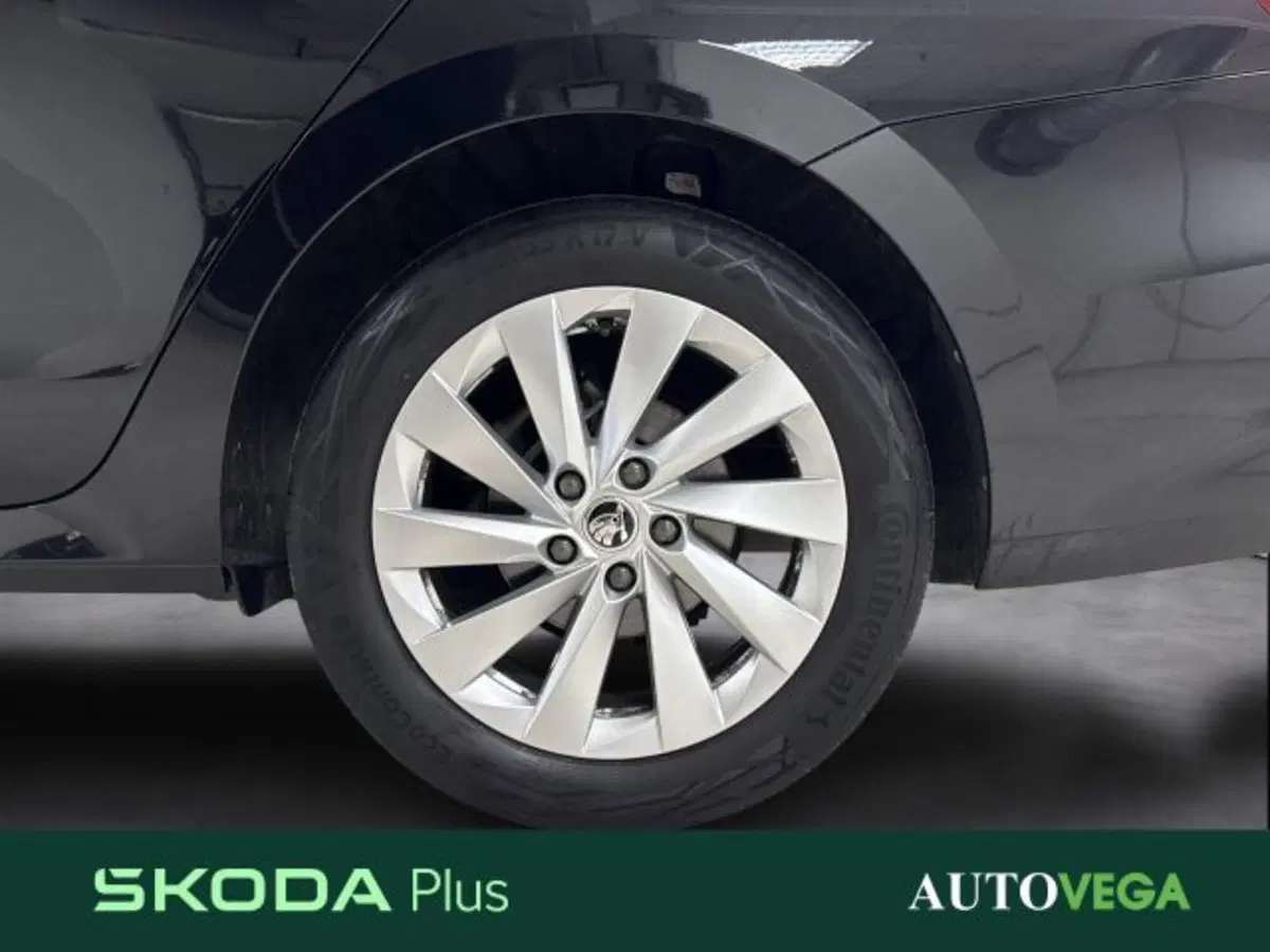 Skoda Octavia Station Wagon usata a Vicenza (18)