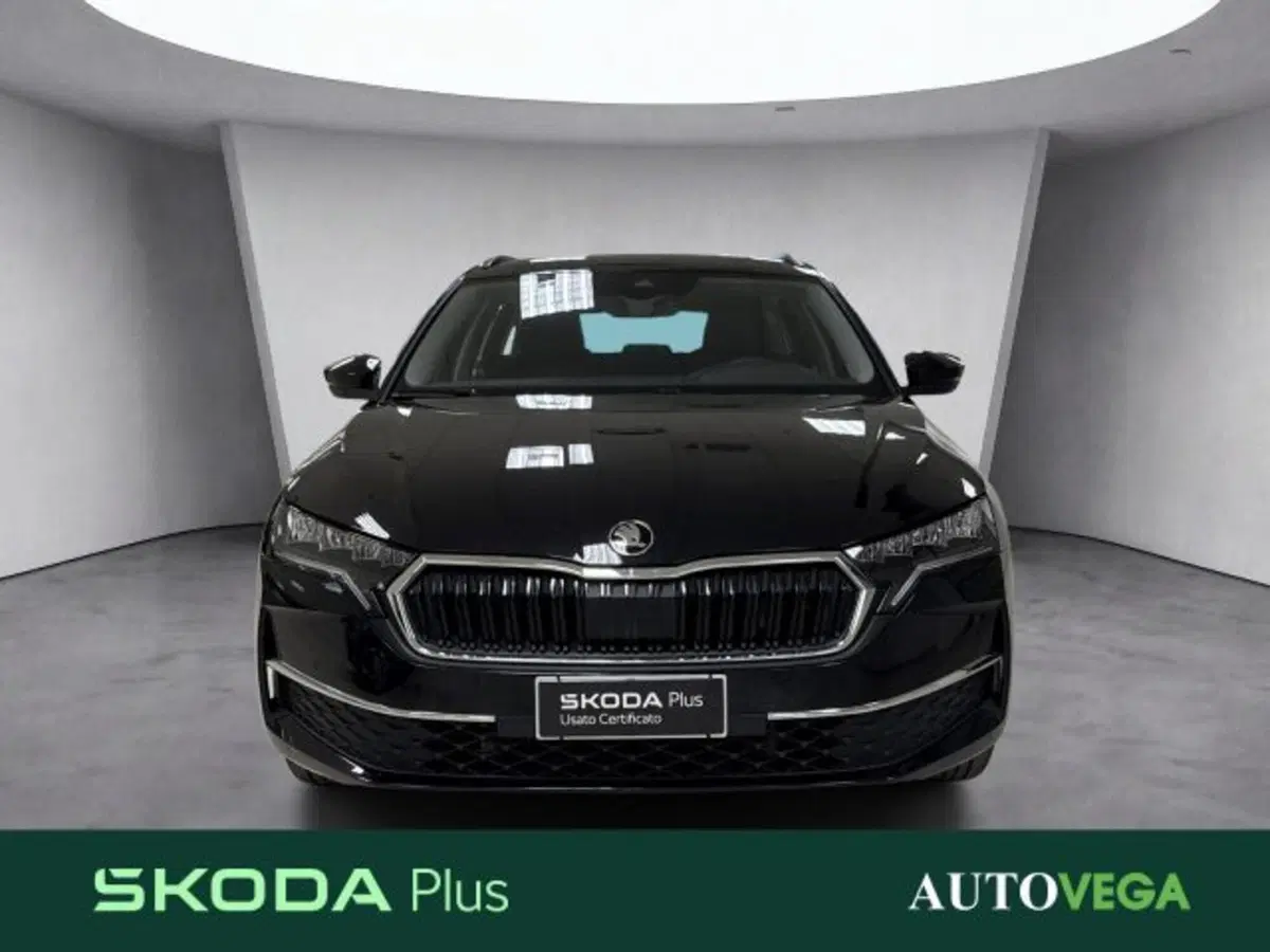 Skoda Octavia Station Wagon usata a Vicenza (2)