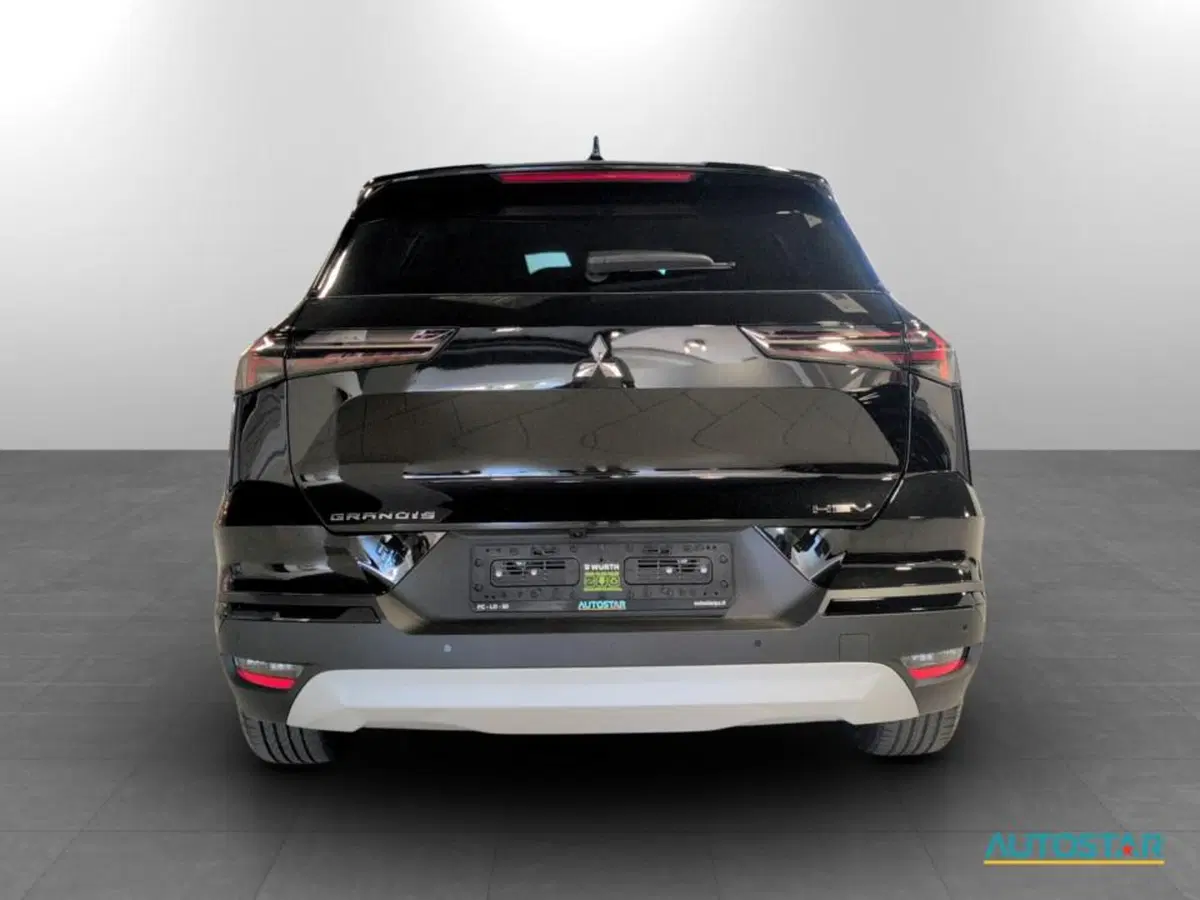Mitsubishi Grandis nuova a Piacenza (6)