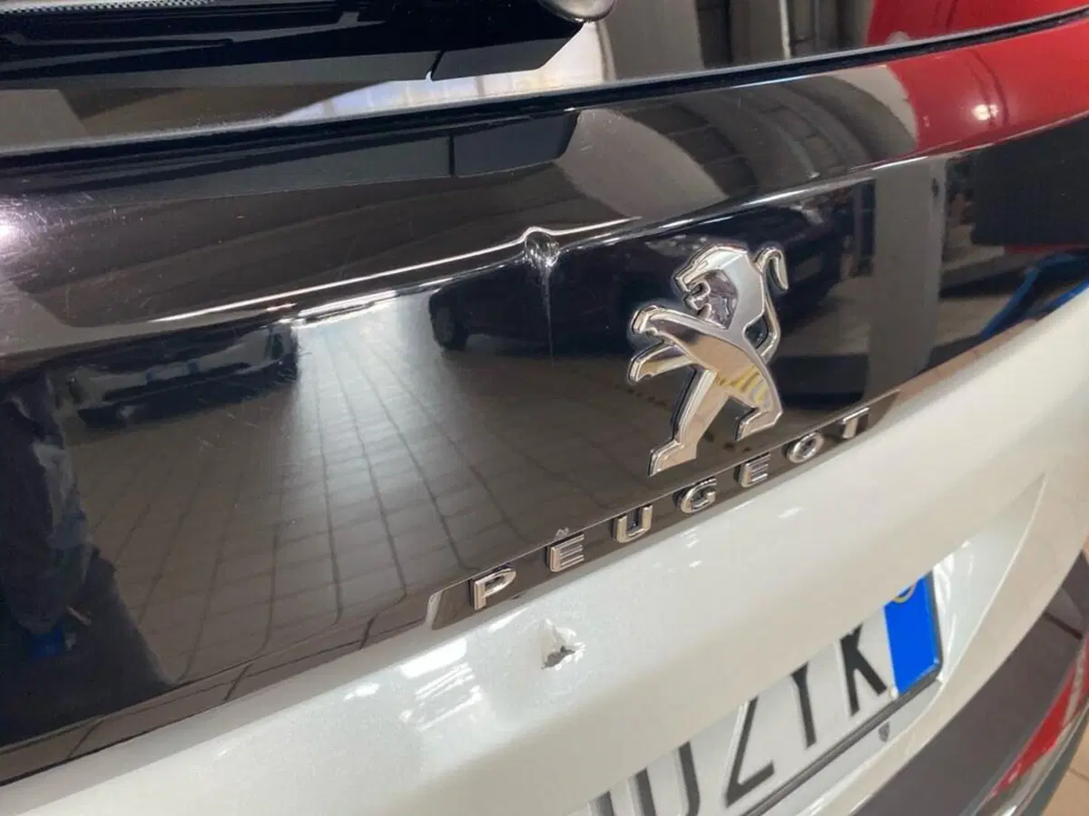 Peugeot 3008 usata a Torino (14)