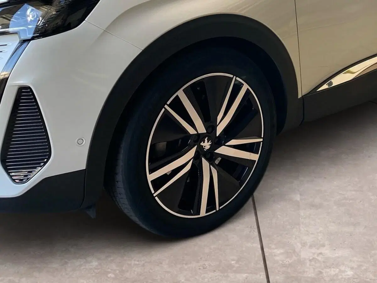 Peugeot 3008 usata a Torino (15)