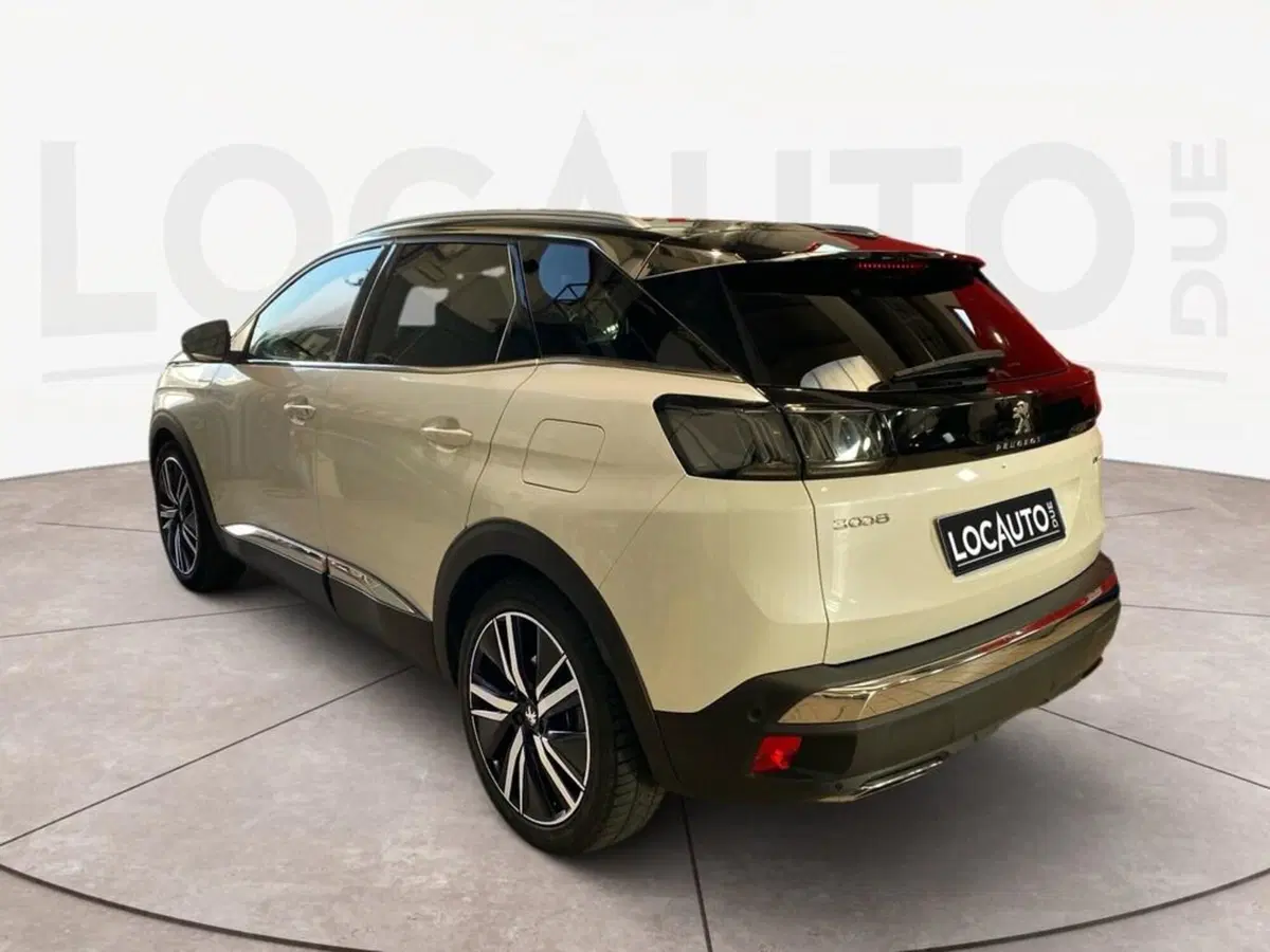 Peugeot 3008 usata a Torino (5)