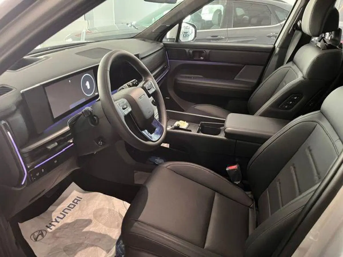 Hyundai Santa Fe usata a Verbano Cusio Ossola (13)