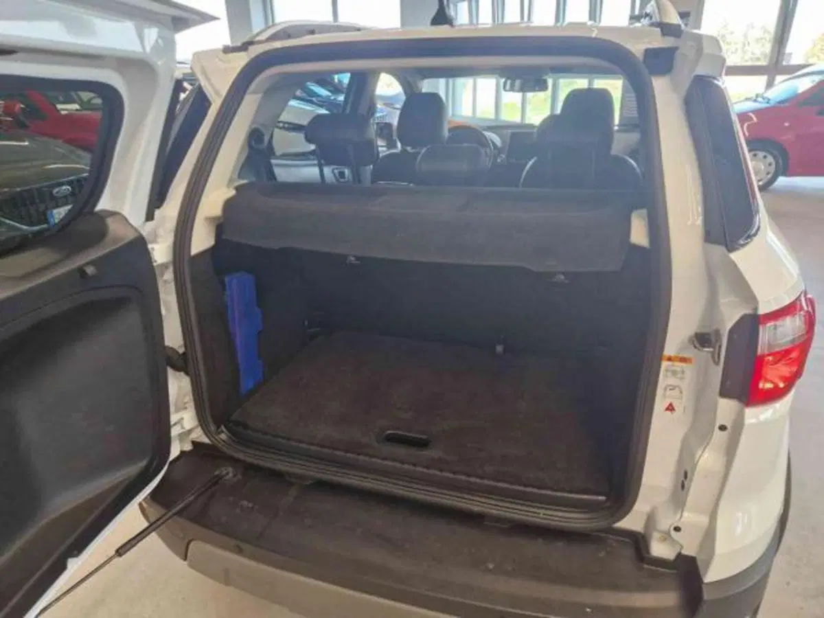 Ford EcoSport usata a Bologna (15)