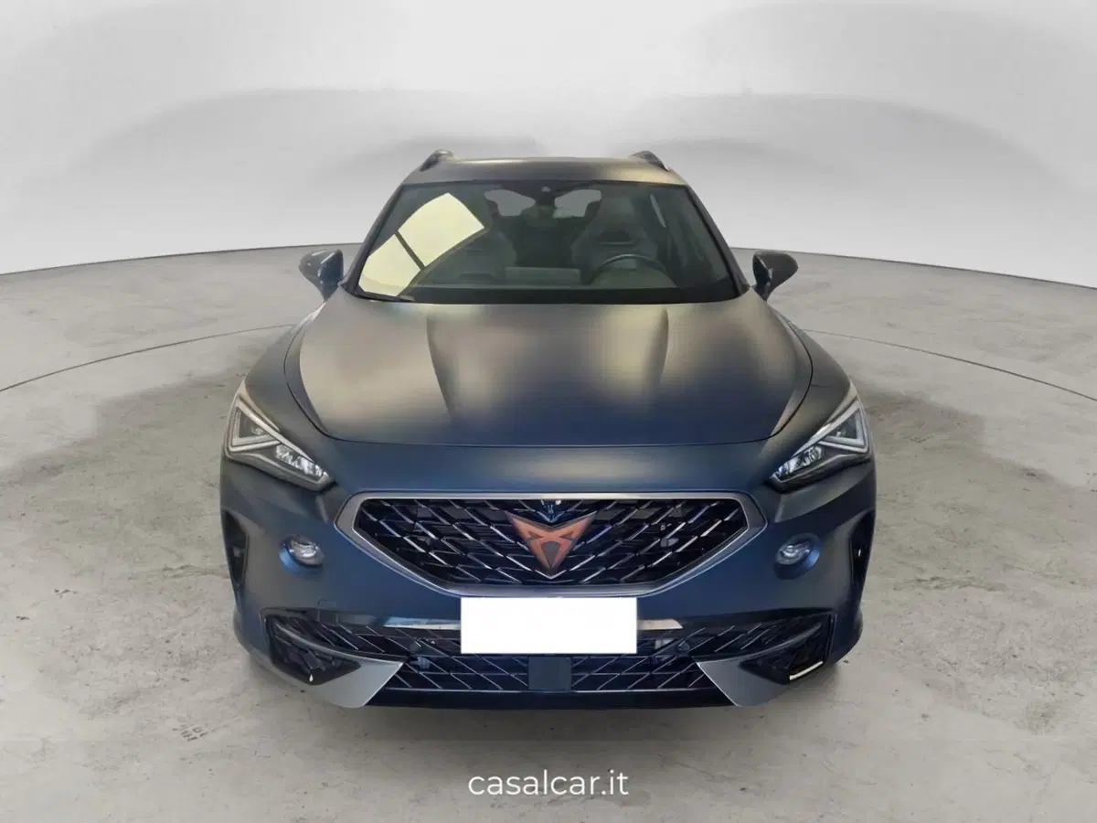 Cupra Formentor usata a Salerno (2)