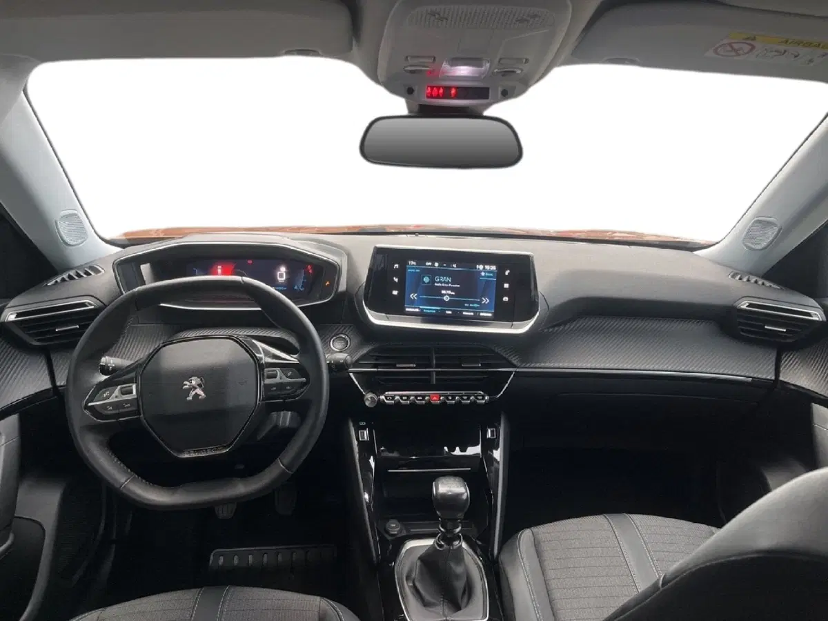 Peugeot 2008 usata a Torino (11)