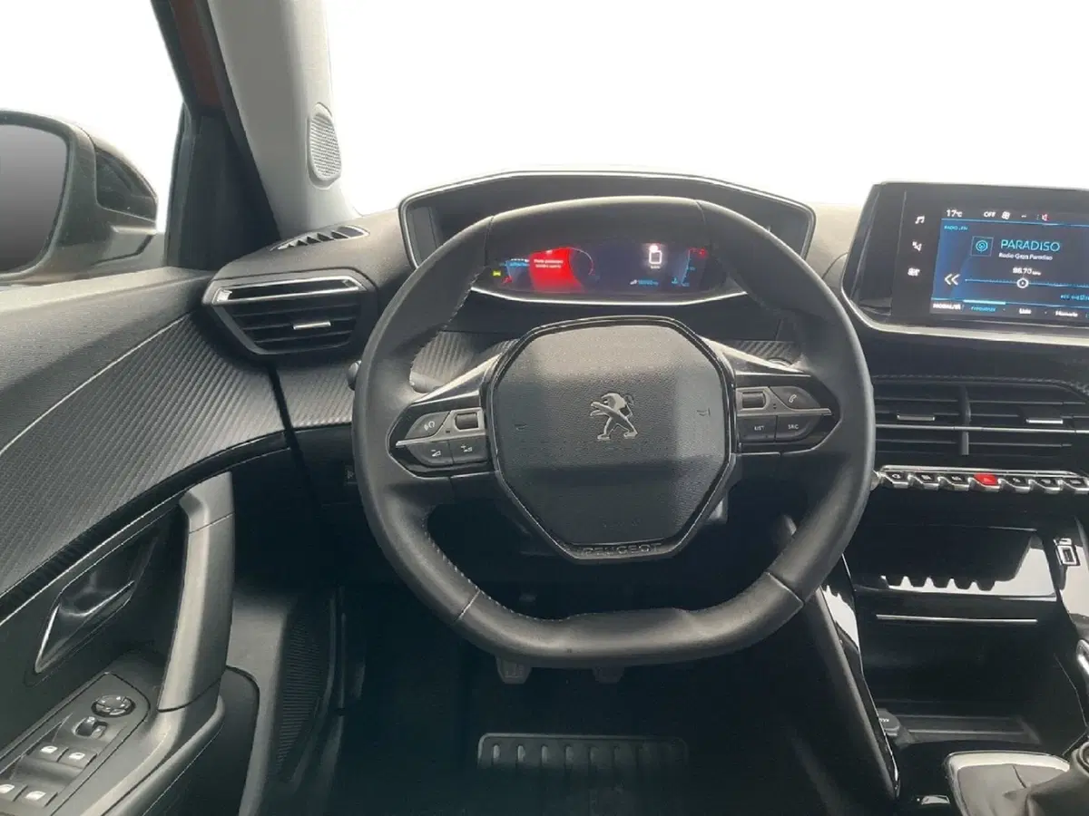Peugeot 2008 usata a Torino (12)