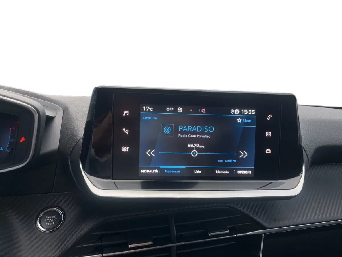 Peugeot 2008 usata a Torino (14)