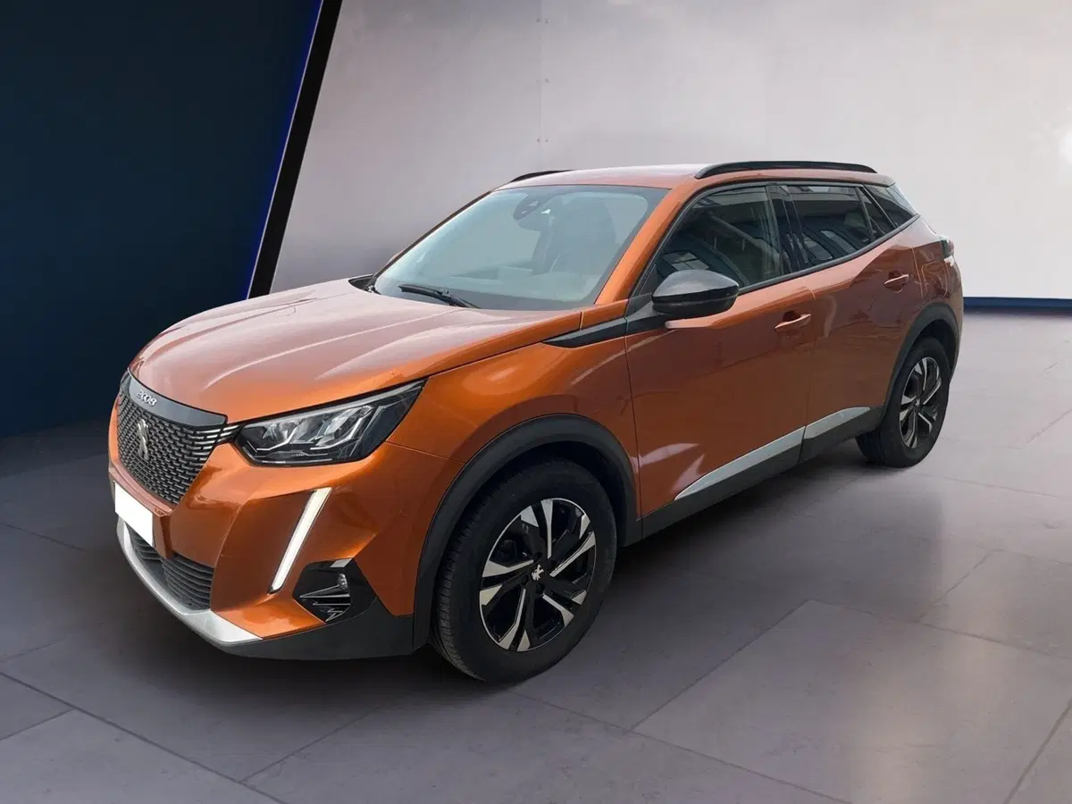 Peugeot 2008 usata a Torino (2)