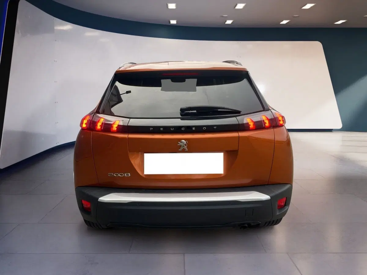 Peugeot 2008 usata a Torino (5)