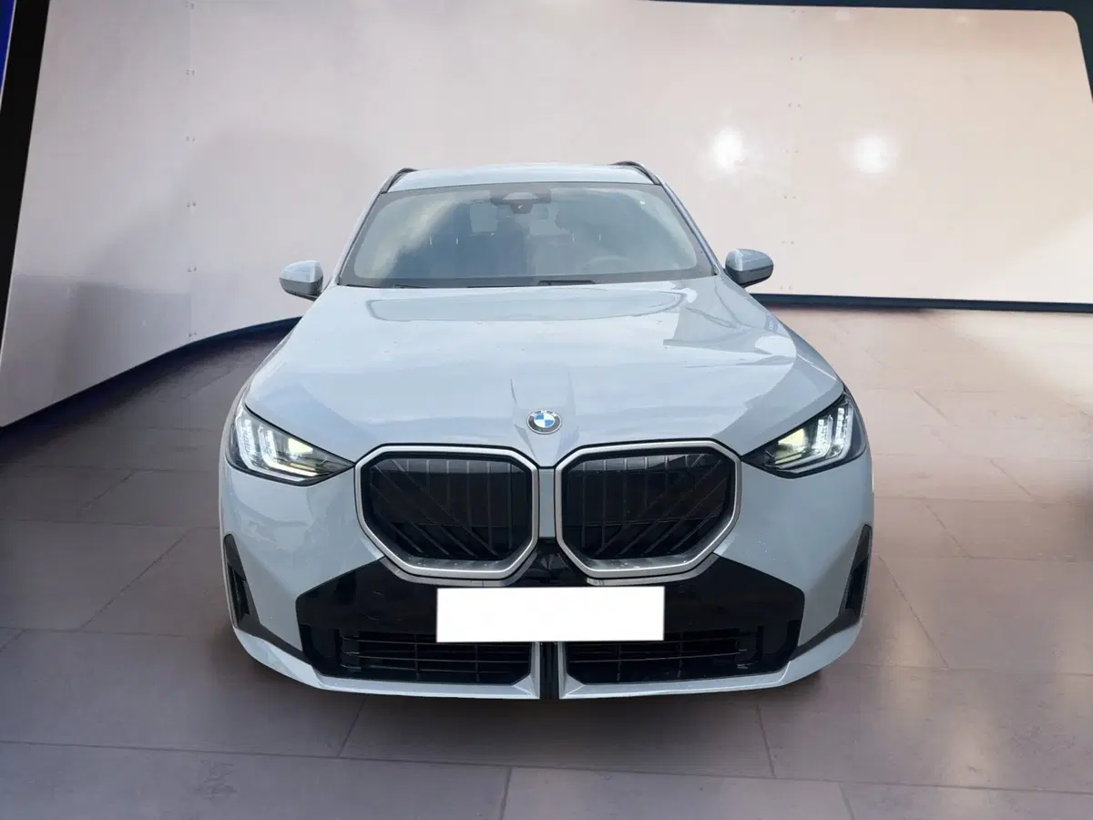 BMW X3 usata a Torino
