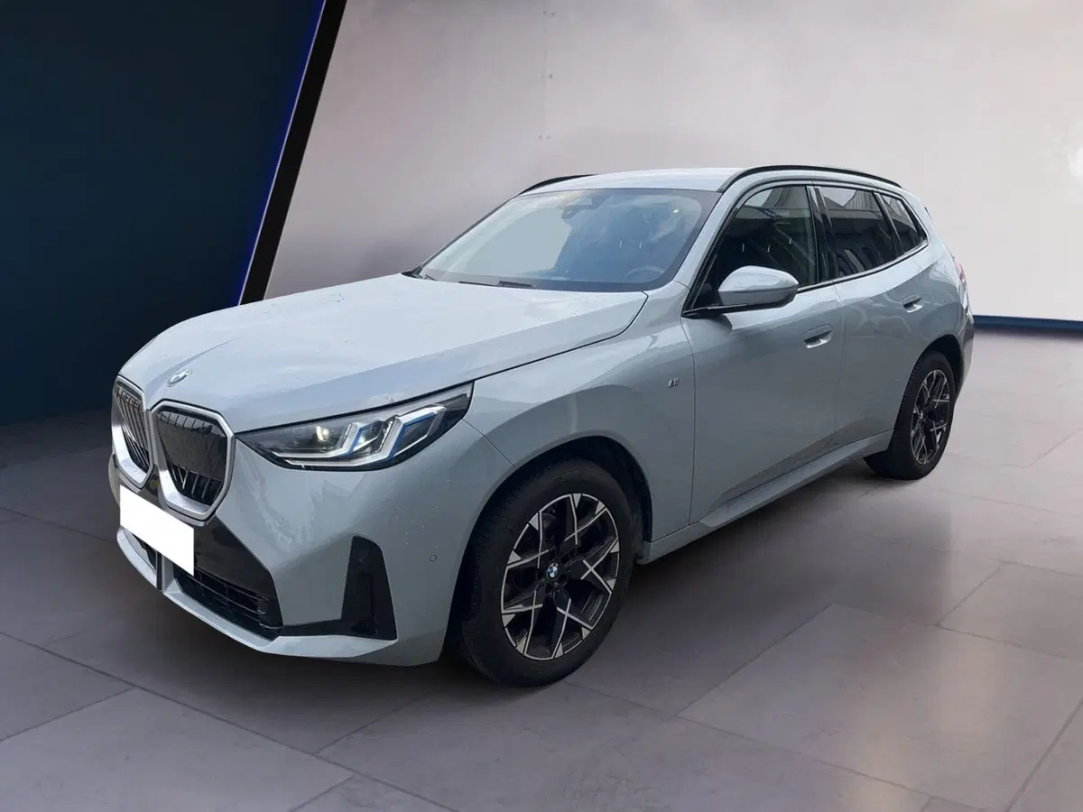 BMW X3 usata a Torino (2)