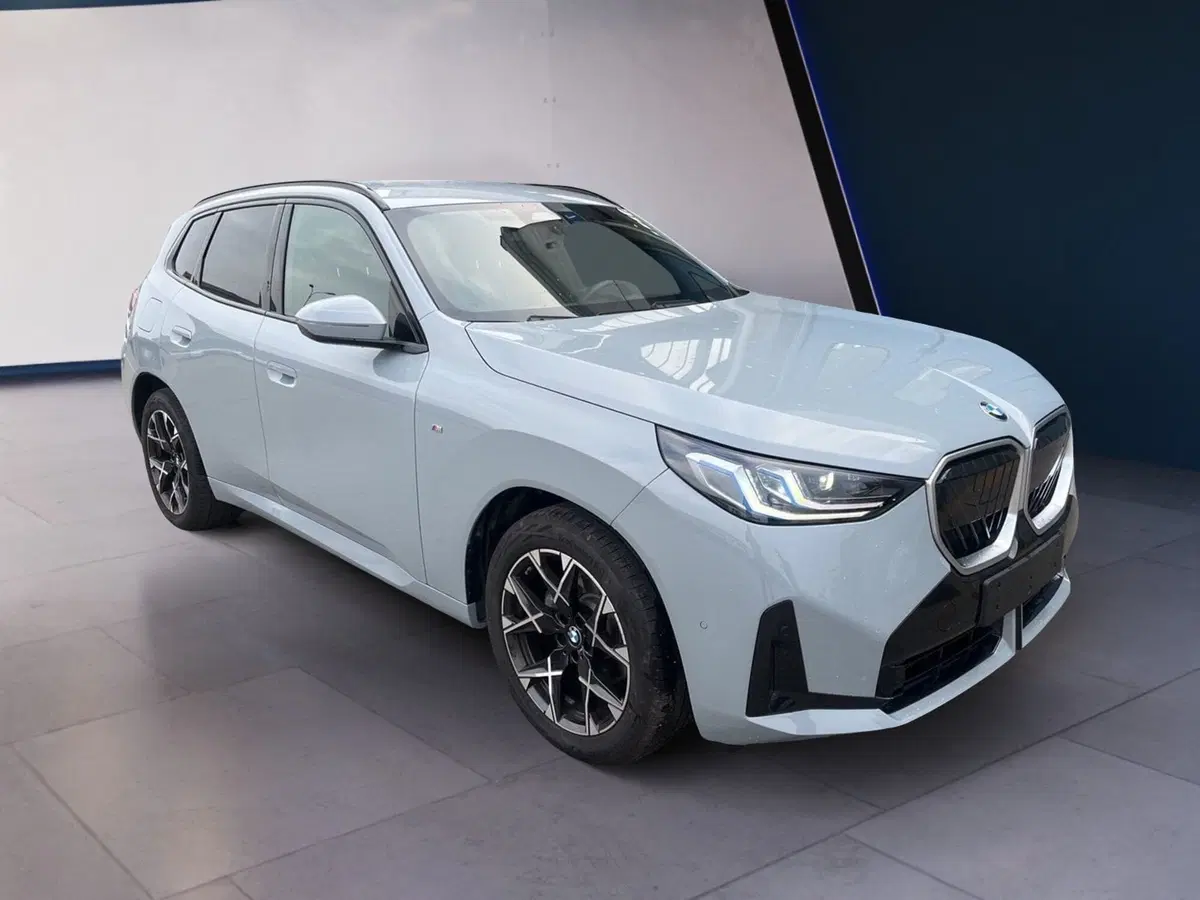 BMW X3 usata a Torino (3)