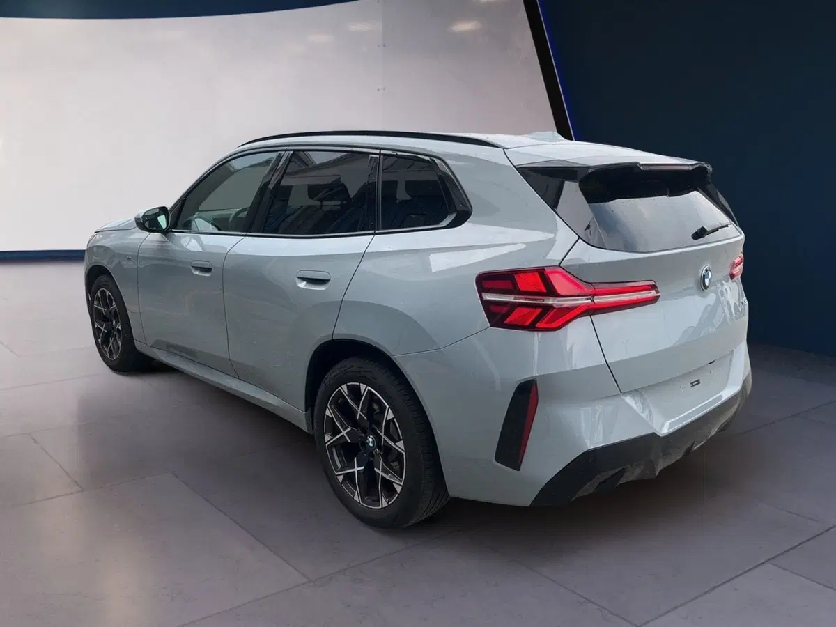 BMW X3 usata a Torino (6)