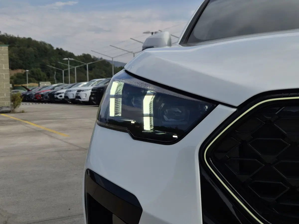 BMW X2 usata  (18)