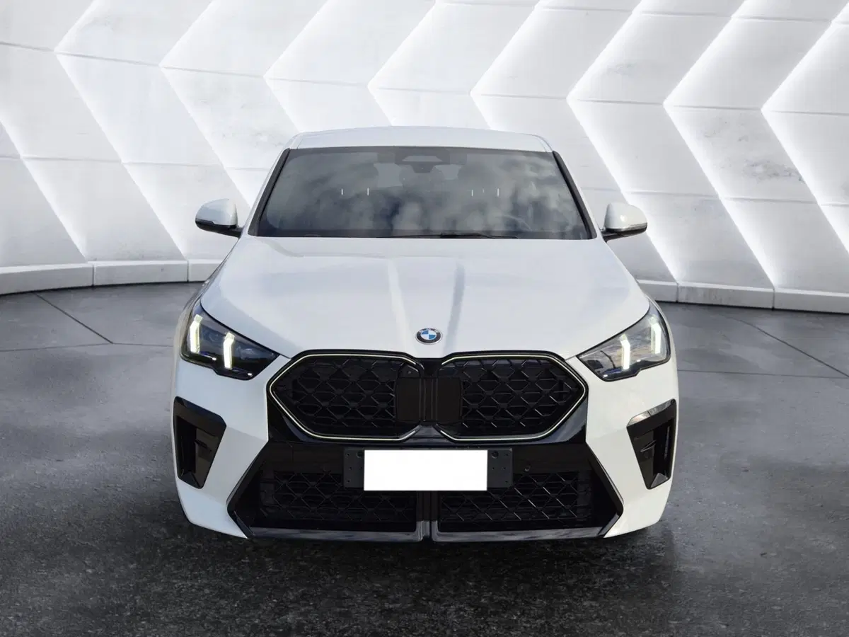BMW X2 usata  (2)