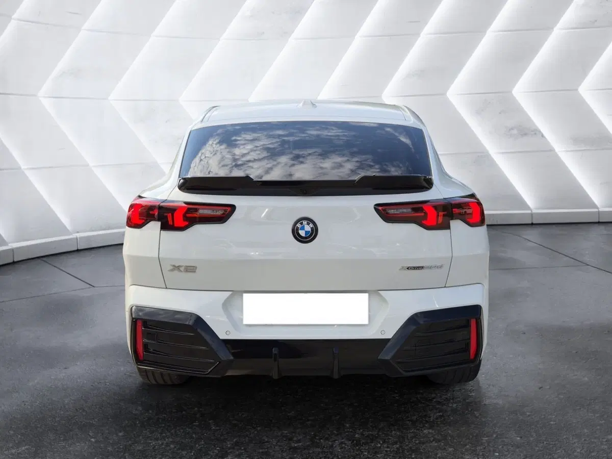 BMW X2 usata  (3)