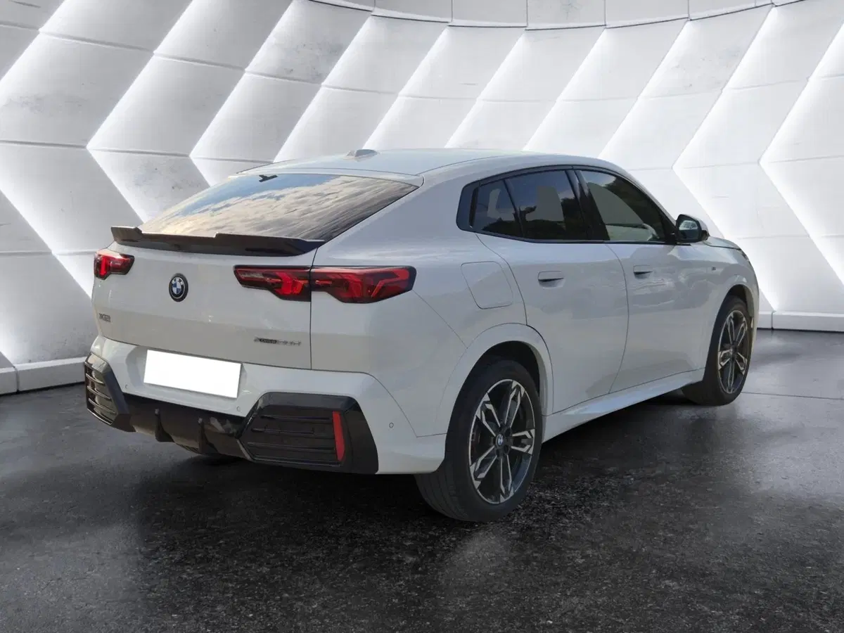BMW X2 usata  (4)