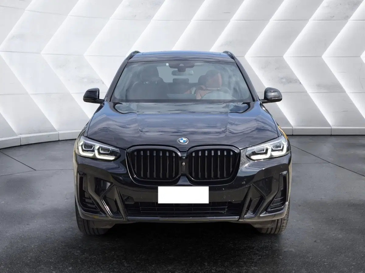 BMW X3 usata  (2)