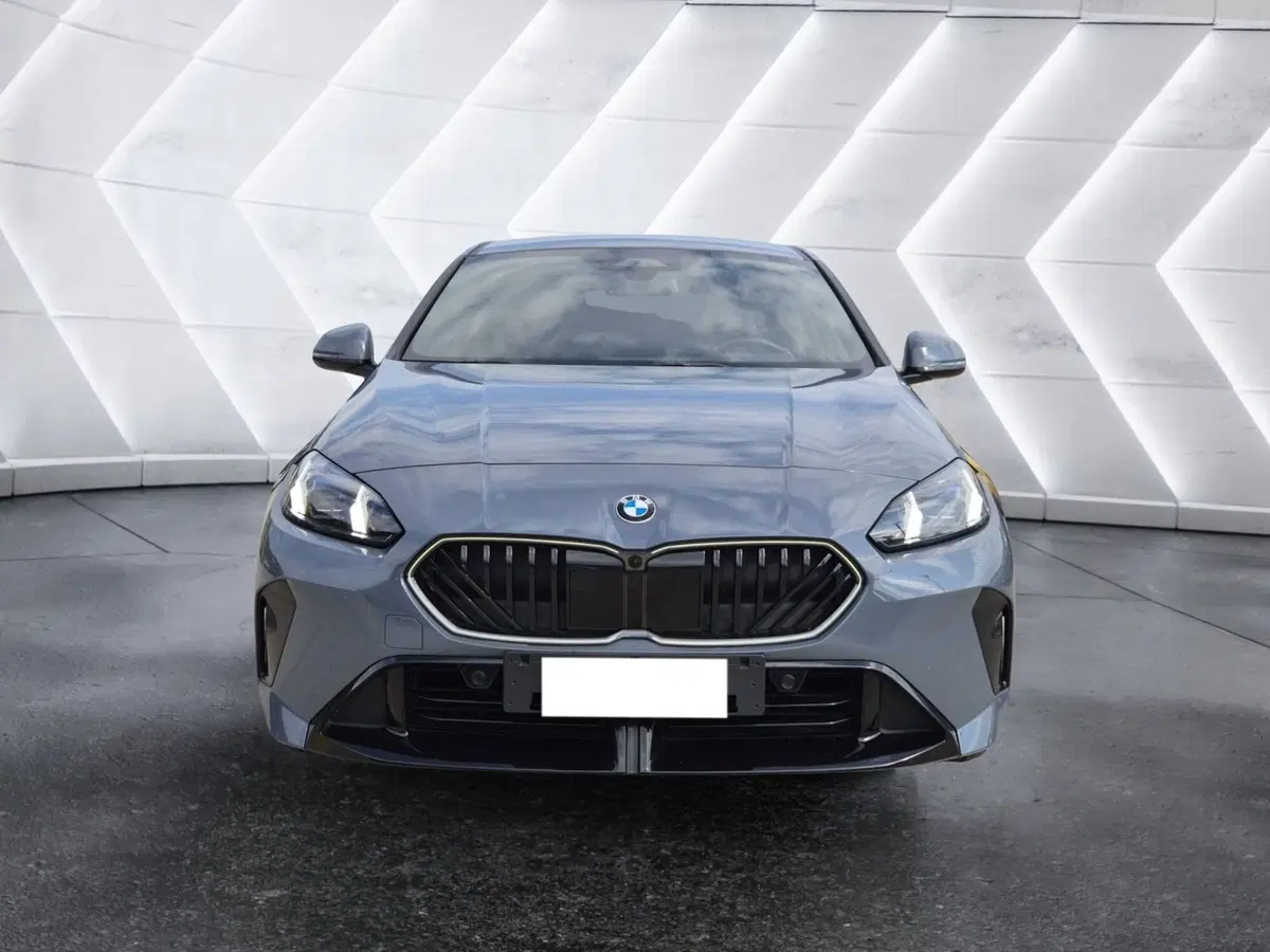 BMW Serie 1 usata  (2)