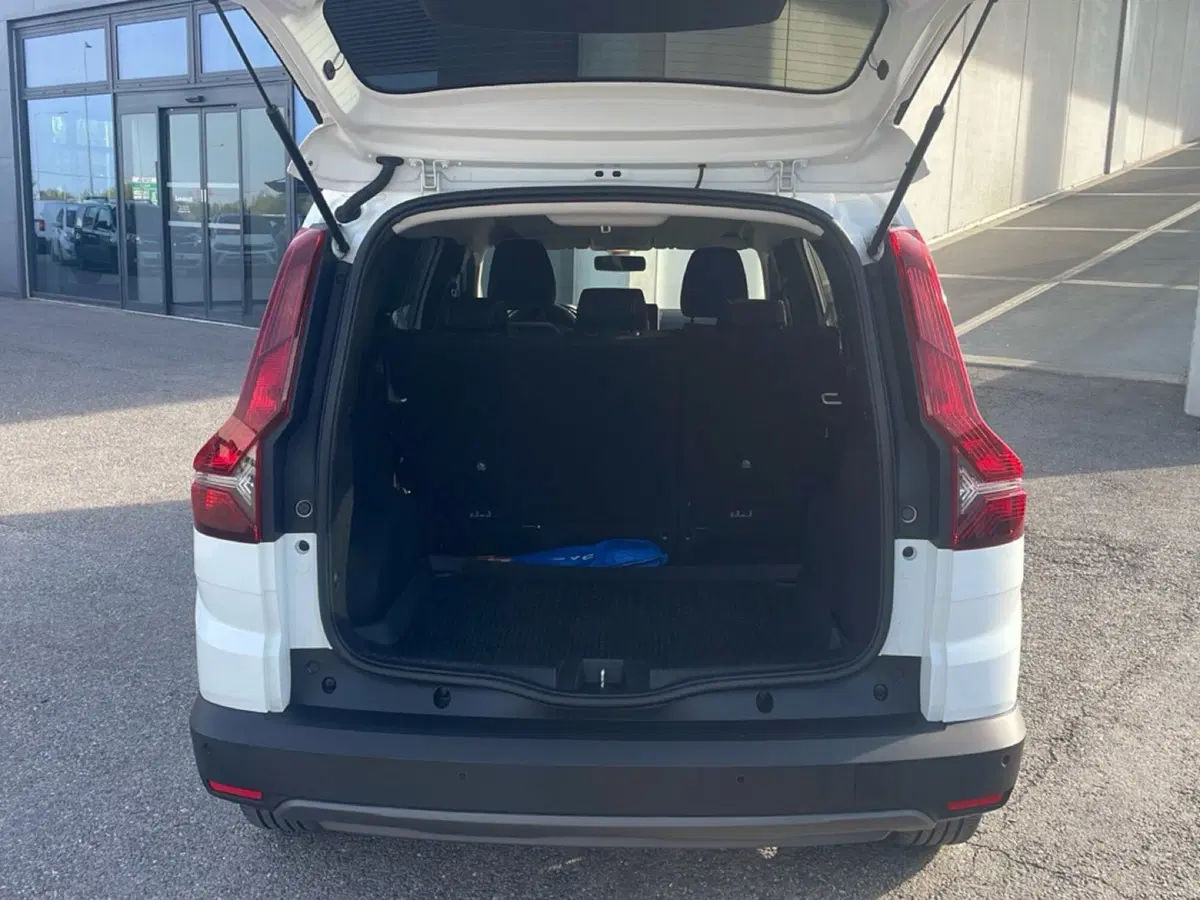 Dacia Jogger usata a Bologna (16)