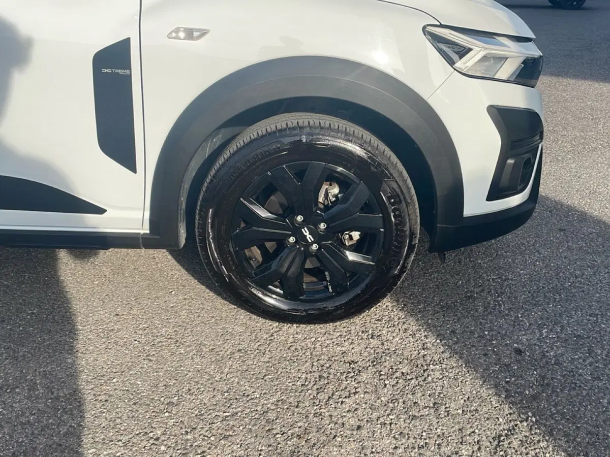 Dacia Jogger usata a Bologna (9)