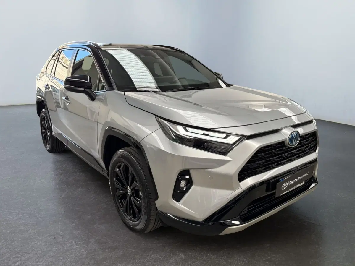 Toyota Rav4 usata a Modena (3)