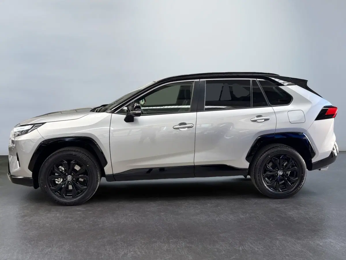 Toyota Rav4 usata a Modena (4)