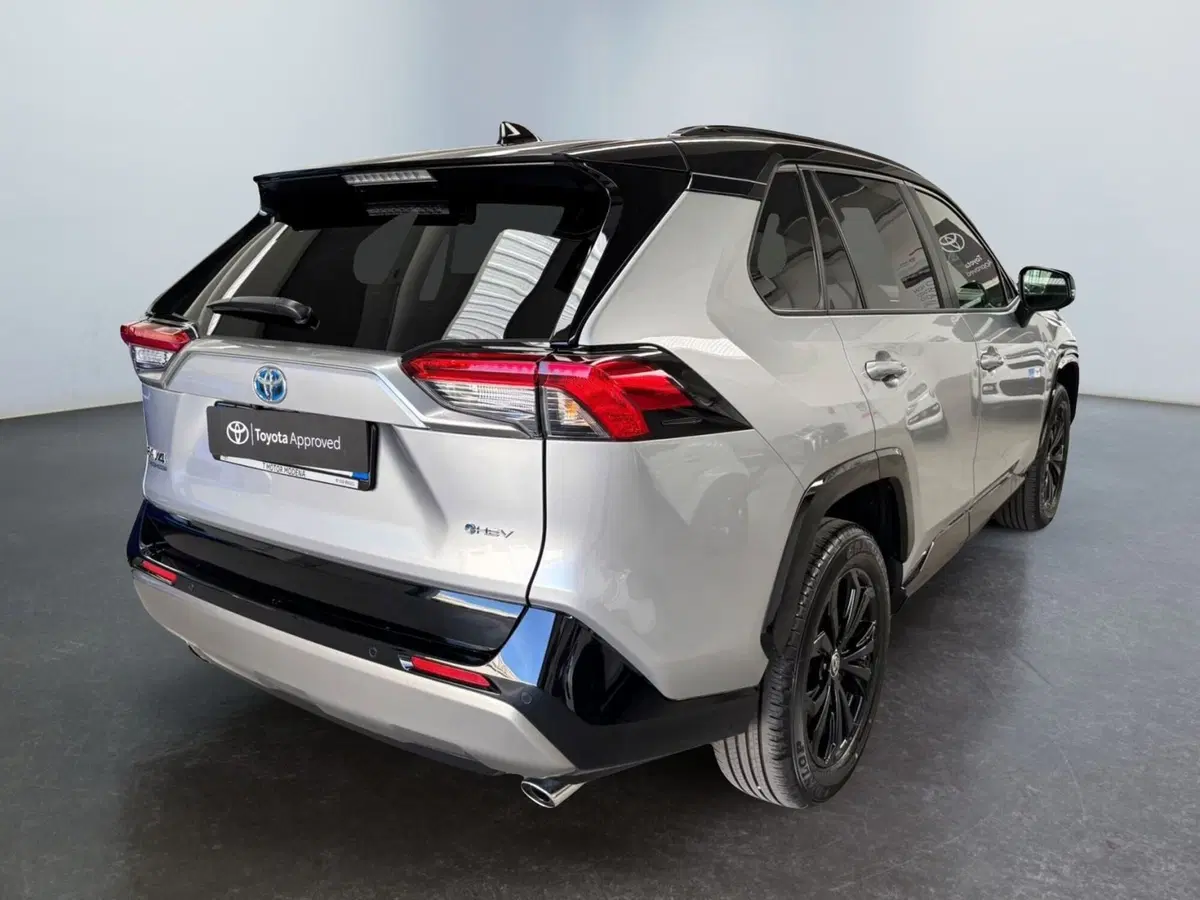 Toyota Rav4 usata a Modena (7)